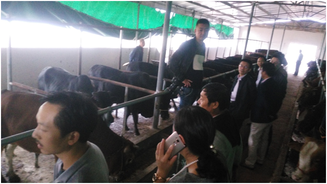 AGע�������(�й�)������ҳ