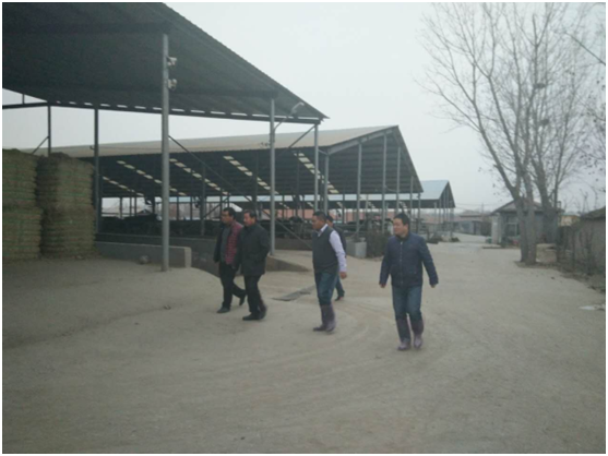 AGע�������(�й�)������ҳ