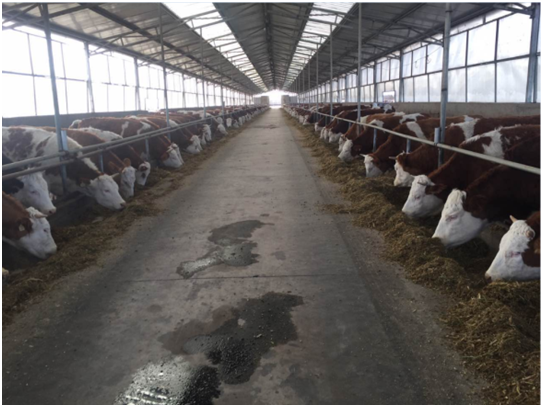 AGע�������(�й�)������ҳ