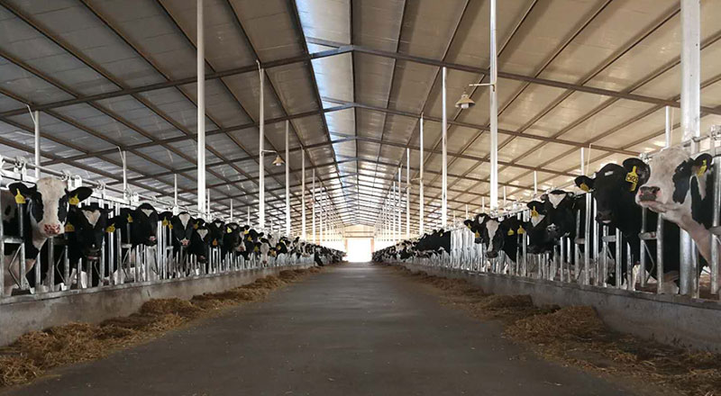 AGע�������(�й�)������ҳ