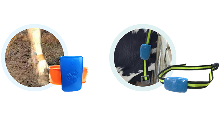 AGע�������(�й�)������ҳ