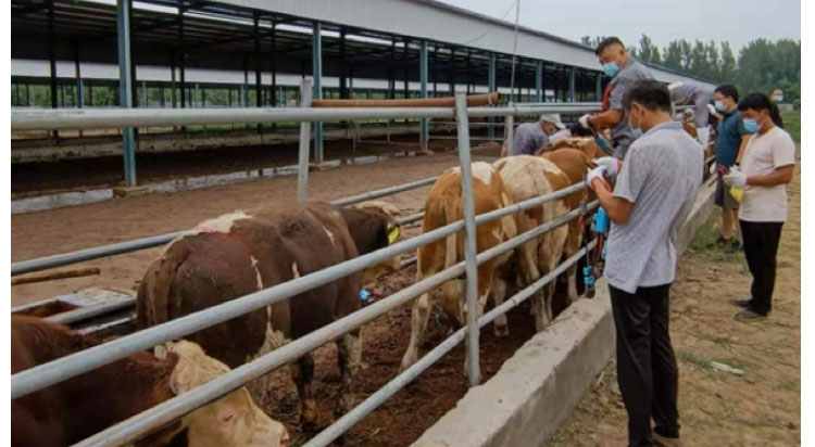 AGע�������(�й�)������ҳ