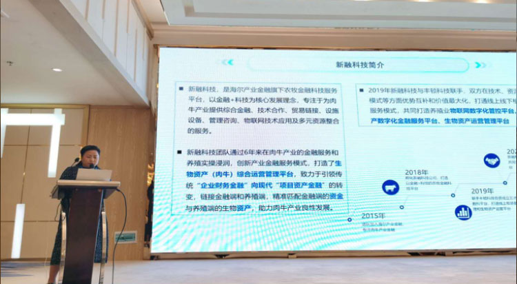 AGע�������(�й�)������ҳ