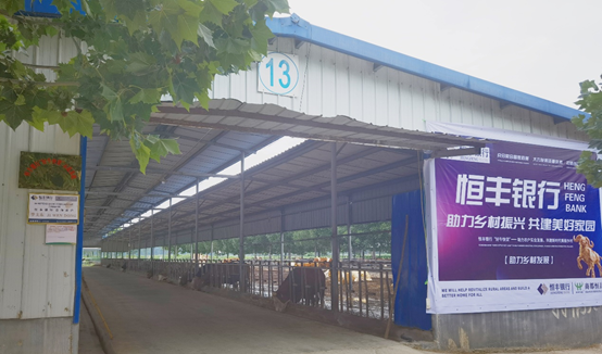 AGע�������(�й�)������ҳ