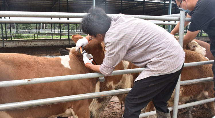 AGע�������(�й�)������ҳ