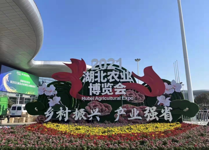 AGע�������(�й�)������ҳ