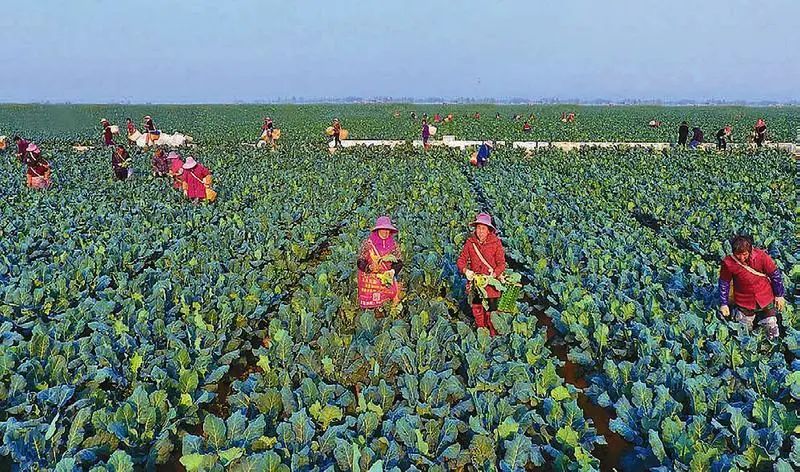 AGע�������(�й�)������ҳ