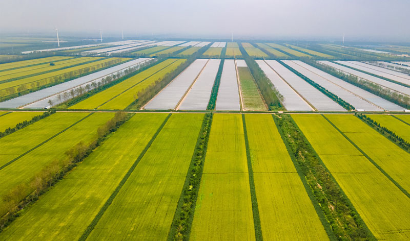 AGע�������(�й�)������ҳ