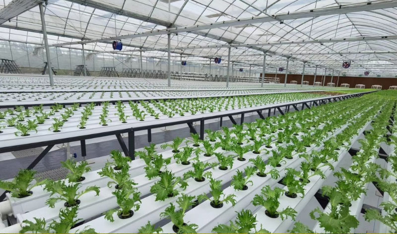 AGע�������(�й�)������ҳ