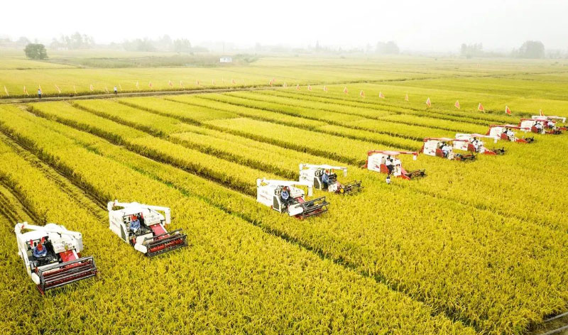 AGע�������(�й�)������ҳ