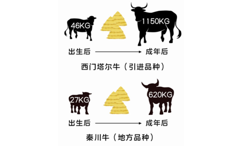 AGע�������(�й�)������ҳ