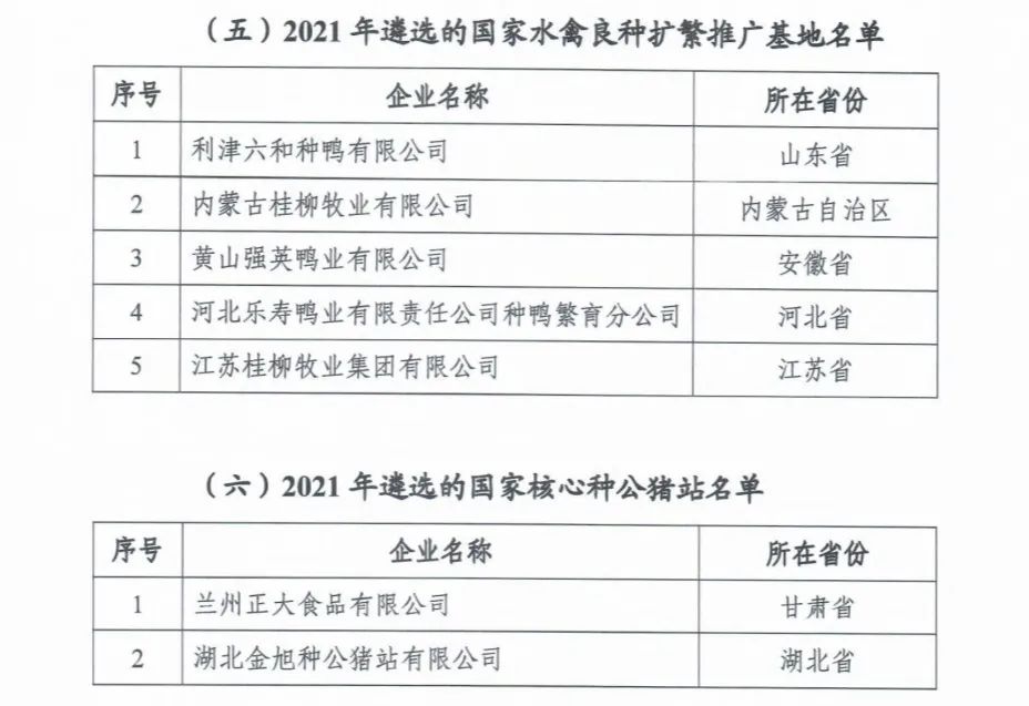 AGע�������(�й�)������ҳ