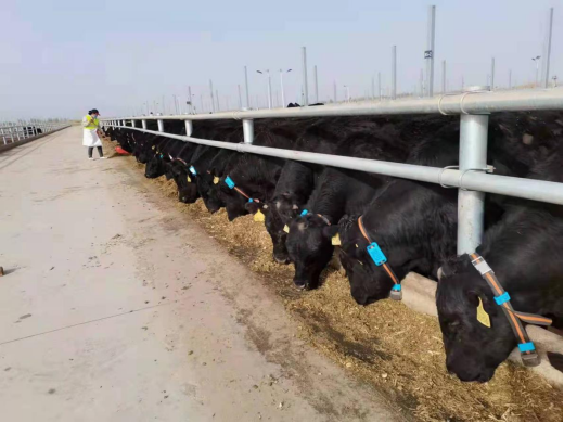 AGע�������(�й�)������ҳ